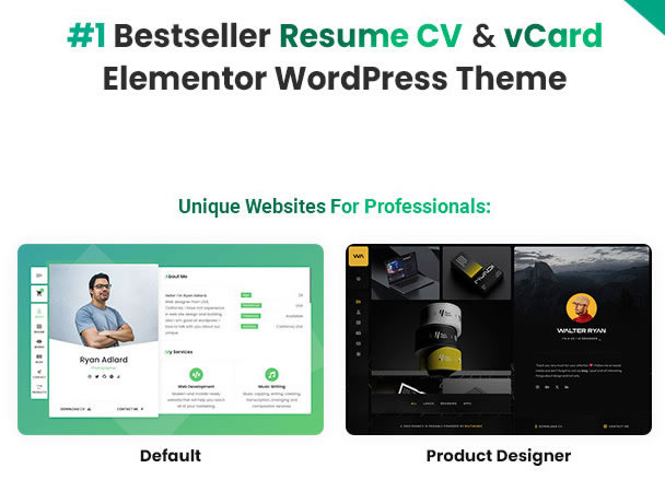 FemzapCV- Personal Portfolio Resume Theme (Website+Script)